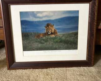 098 15x12rosswarnersignedframedphotoh