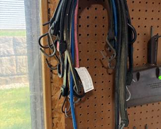 Bungie cords
