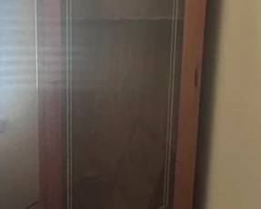 f Gun Cabinet