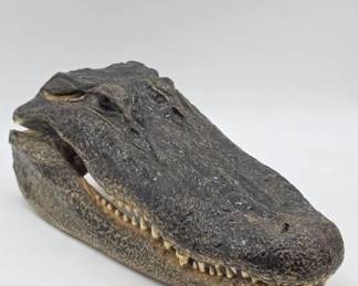 Alligator head