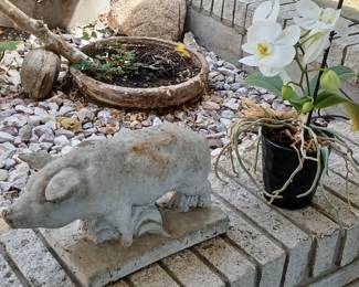Cement pig and live plant