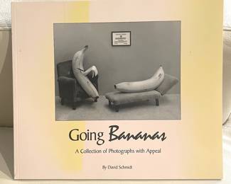 David Schmidt photography book