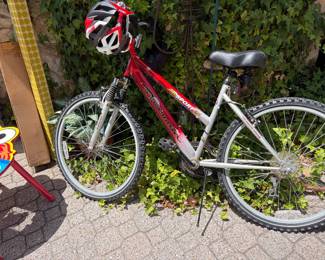 Roadmaster Mountain Sport Bike SX 