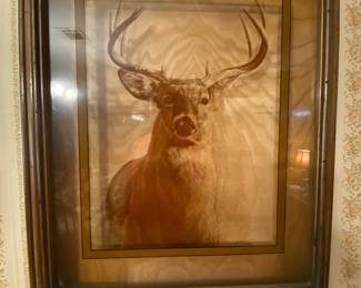 vintage lucid lines reverse glass print of a buck by Dennis Curry
