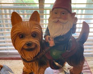 Funny guy ridding Yorkshire terrier
