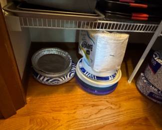 Dixie Everyday Paper Plates and Bowls