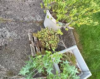 Assorted Potted Plants and Planters