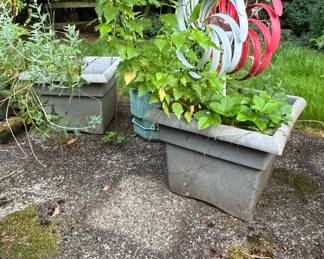 Assorted Potted Plants and Planters