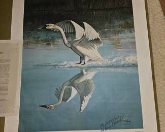 Whistling Swan by R.J. McDonald Dedicated to Ty Boyd