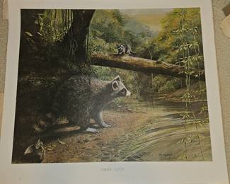 Cahaba Coon by R.Y. McDonald
