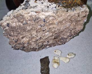 Petrified Wyoming rock