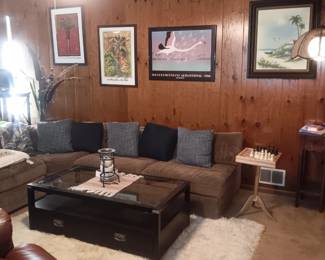 sleeper sofa 
