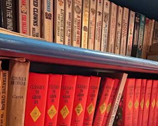 Books on Blue Shelving Unit second image