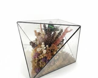 Taxidermied Urania Leilus Butterfly in Geometric Glass Display third image