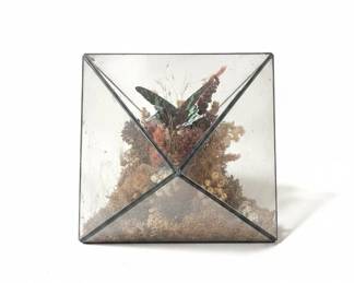Taxidermied Urania Leilus Butterfly in Geometric Glass Display second image