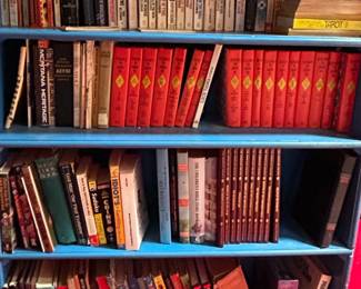 Books on Blue Shelving Unit