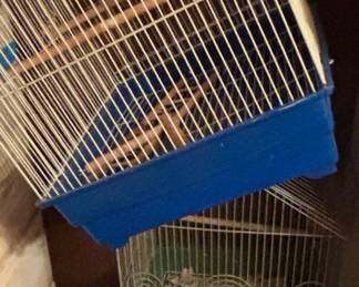 Bird Cages
