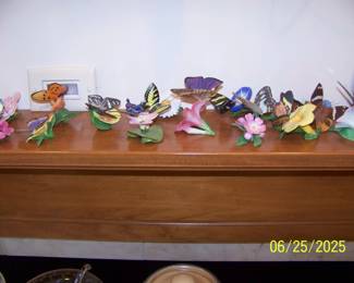 Lovely Butterfly collection!