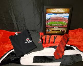 Fan Gear Memorabilia  University of Georgia Bulldogs Bundle