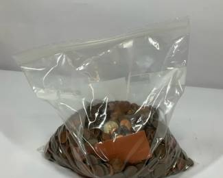 Mystery Bag of Mixed Pennies
