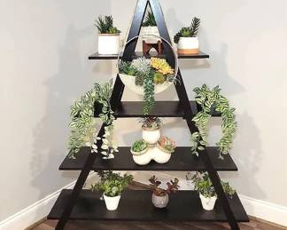 Succulent Shelving
