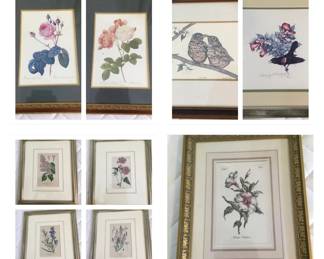 Birds  Botanicals