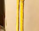 Camel whips