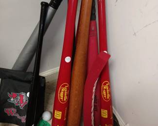 Greensboro Hornets Bats