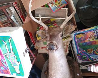 Deer Mount