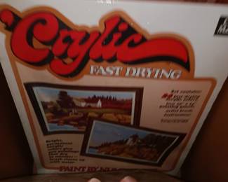 Crylic Fast Drying Paint by Number
