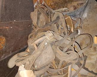 Antique Horse Tack