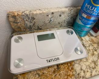 Taylor Mini bath scale