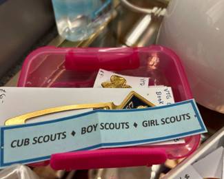 Collectible Boy & Girl Scout Pins