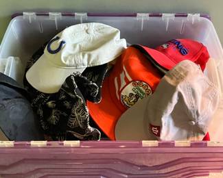 Variety of hats