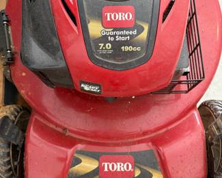C100 - $200. Toro Recycler 22". 190 cc.