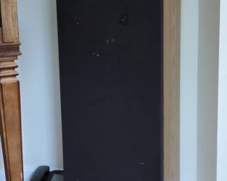 Mitsubishi Diatone DSBR Floorstanding Speakers second image