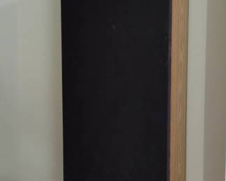 Mitsubishi Diatone DSBR Floorstanding Speakers