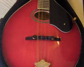 Washburn MSDLTR Americana Series AStyle Mandolin second image