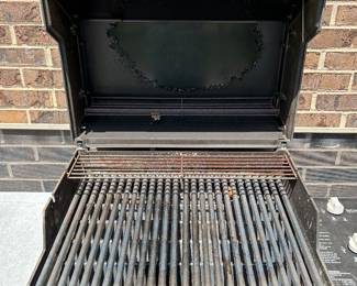 Additional view of weber grill
