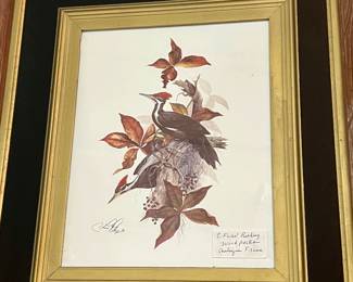 Signed C Ford Riley woodpecker print in antique frame