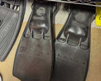 Flippers