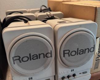 Roland Speakers