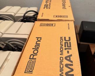 Roland Speakers