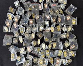 Lot # : 347h - Lot of 100 pins