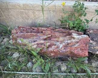 Lot #64 Large Petrified Wood Specimen | Natural Fossilized Wood Display Piece | Geological, Mineral & Nature Collector’s Treasur