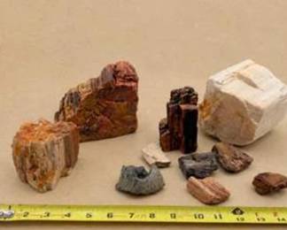 Lot #63 Petrified Wood & Fossil Mineral Collection – Assorted Fossilized Wood Specimens and Geological Display Pieces