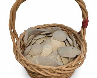 Woven Basket with Sand Dollars and Raffia Accents