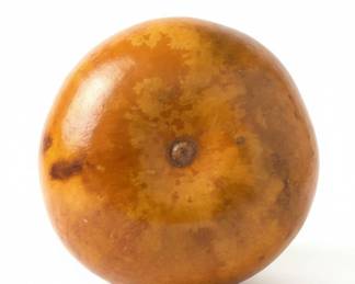 Hawaiian Ipu Gourd Drum second image