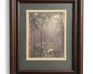 Framed Forest Landscape Print