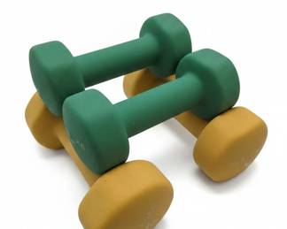 Neoprene Dumbbells Set of